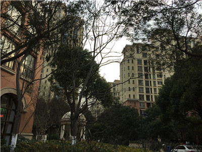 �@�^ ���򻨈@2��