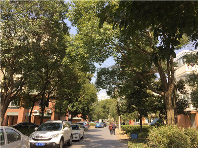 �@�^ ��ܰ���@