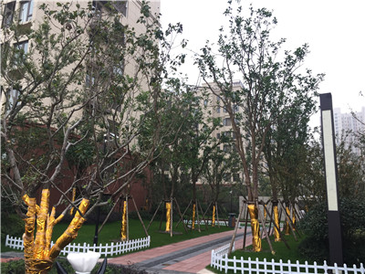 ��ǅ^(q��) ���G·�c��Ԫ·���R̎ �f(w��n)��VCС�(zh��n)