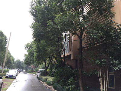 �@�^ ����ˮ��