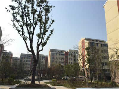 ���Ѕ^ ���|�Ŵ�B�^